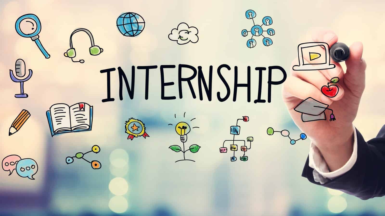 Best Tips to Effectively Train Your Interns