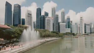 psg-grant-portal-walkthrough-tigernix-singapore