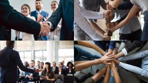 why-stakeholder-engagement-project-success-tigernix-success