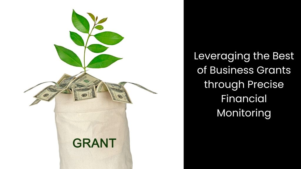 leverage-best-business-grants-financial-monitoring-tigernix-singapore
