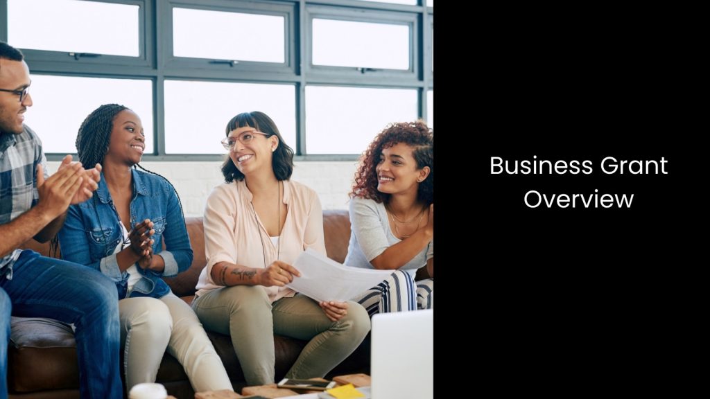 overview-business-grants-tigernix-singapore