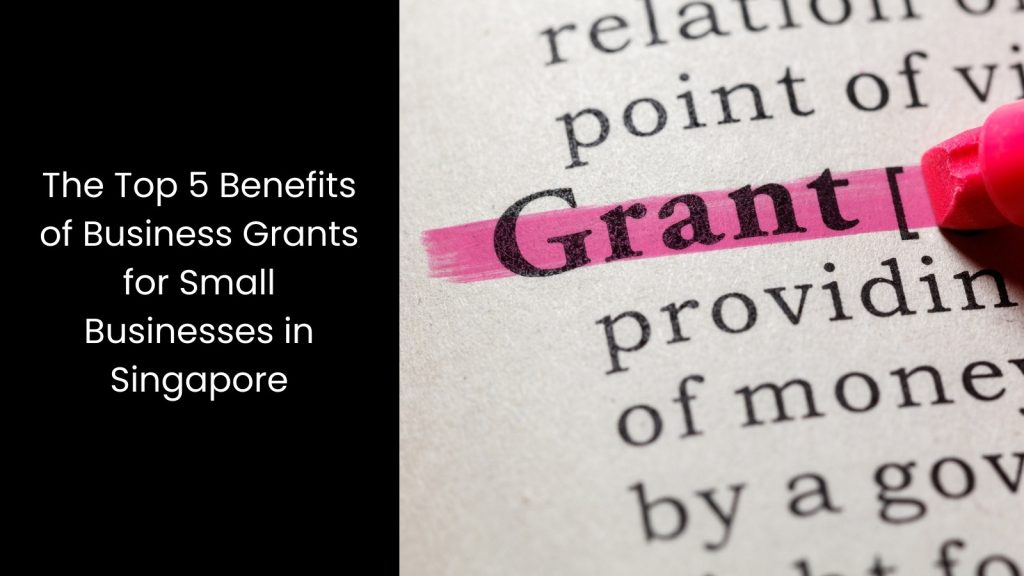 top-benefits-5-five-business-grants-small-businesses-tigernix-singapore