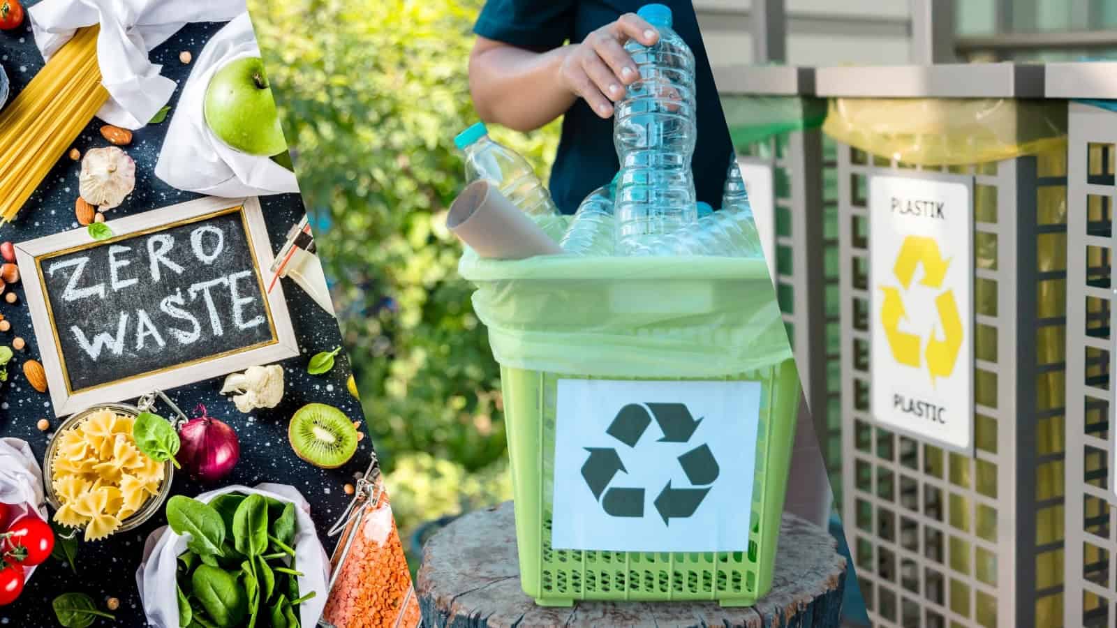 top-strategies-eco-waste-management-singapore-tigernix