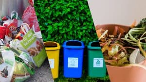 economic-benefits-business-waste-minimisation-tigernix-singapore