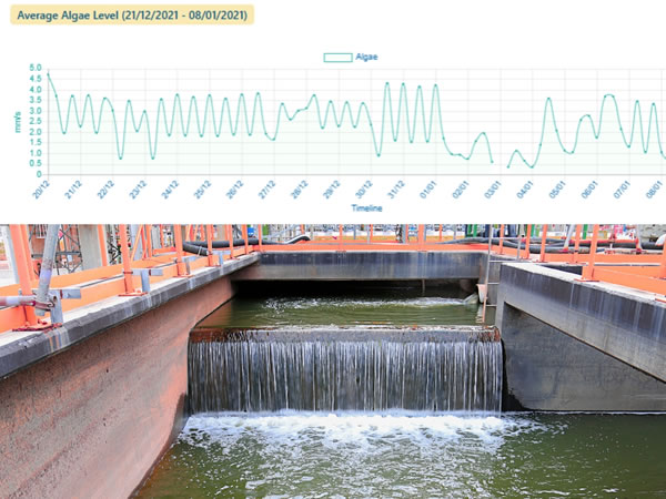Real-Time Contamination Alerting