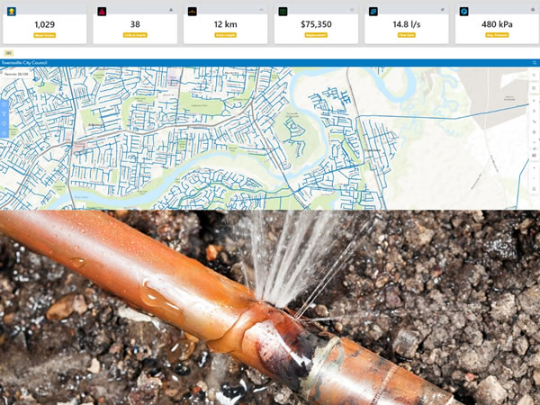 Real-Time Network Visualisation