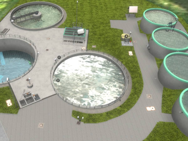 Cyberphysical Wastewater Intelligence