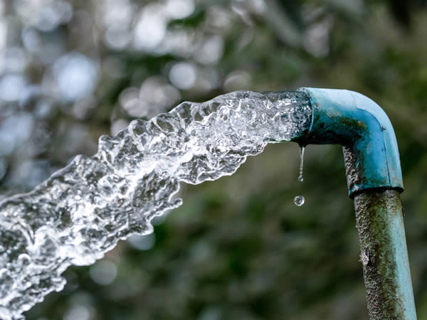 Smart Wastewater Collection: Maintenance, Prediction and Pipe Rehabilitation
