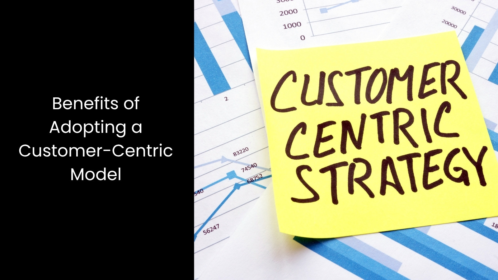The Power of Customer-Centric Business Models | Tigernix Business Blog