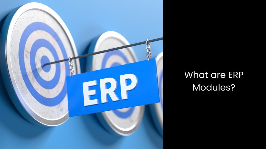 what-erp-modules-business-tigernix-singapore