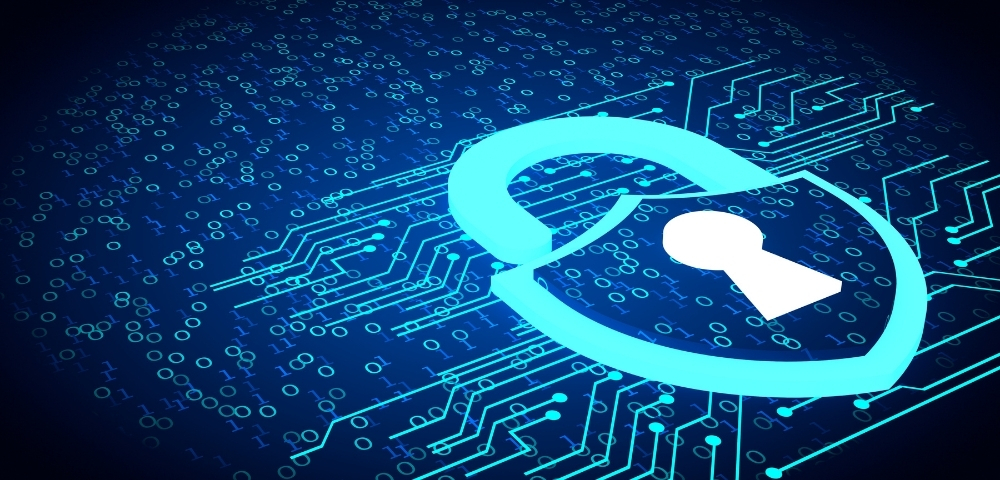 Employing Software Solutions that Couple with Robust Security Measures for a Protected Environment