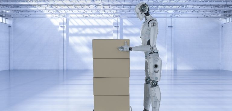 The Role of Wearable and Immersive Technologies in Warehousing