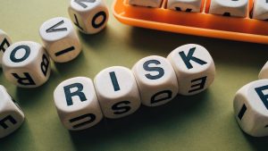 What Are The 7 Principles Of Risk Management?
