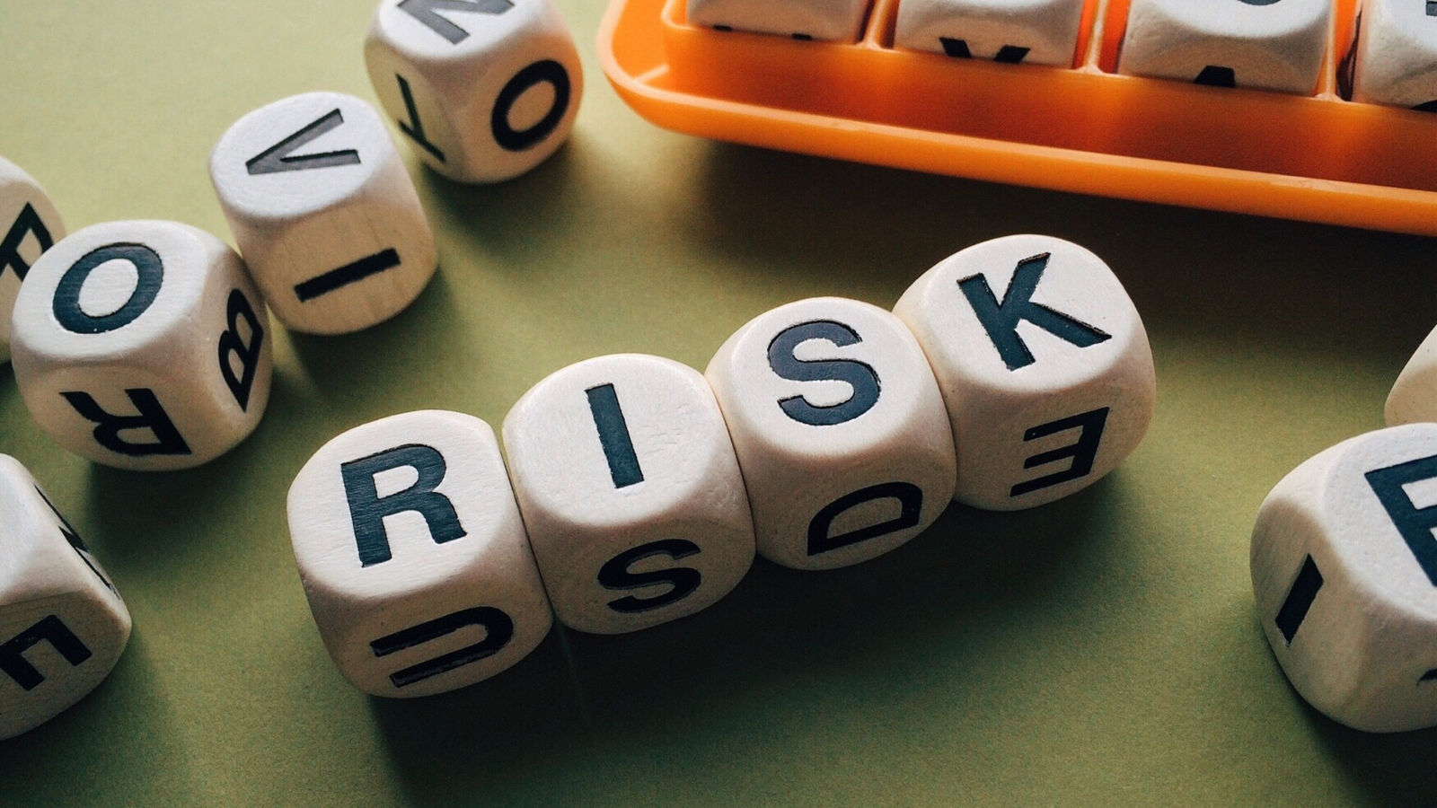 What Are The 7 Principles Of Risk Management?