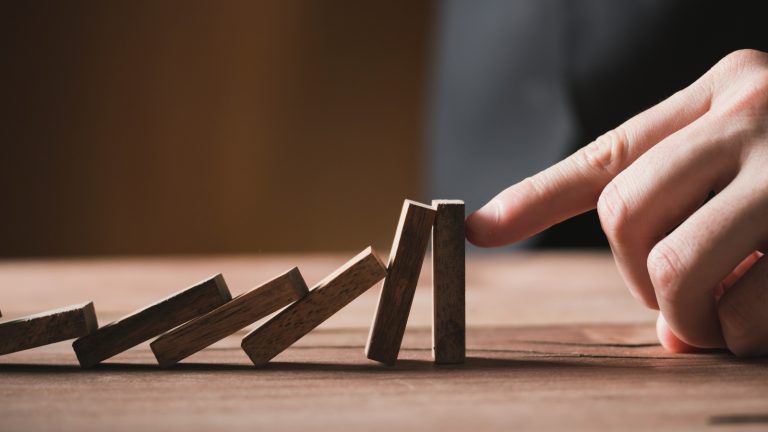 What Are The 7 Principles Of Risk Management