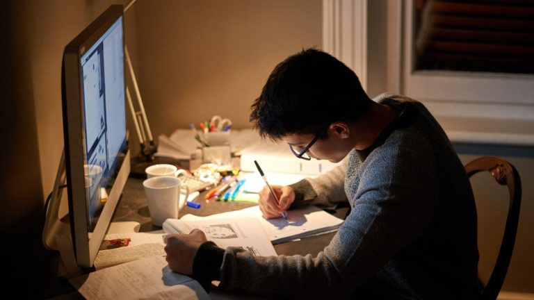 How Student Portals Support Digital Transformation in Education