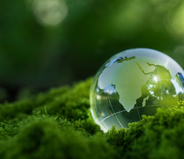 How Enterprise Sustainability Teams Use AI to Cut ESG Reporting Time in Half